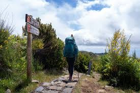 Hiking Trail Adventures: The Ultimate Guide to Exploring Nature’s Best Paths